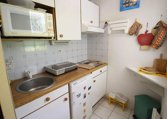 4 Pers Avec Terrasse, Parking Et Animaux Admis - Fr-1-313-244 *